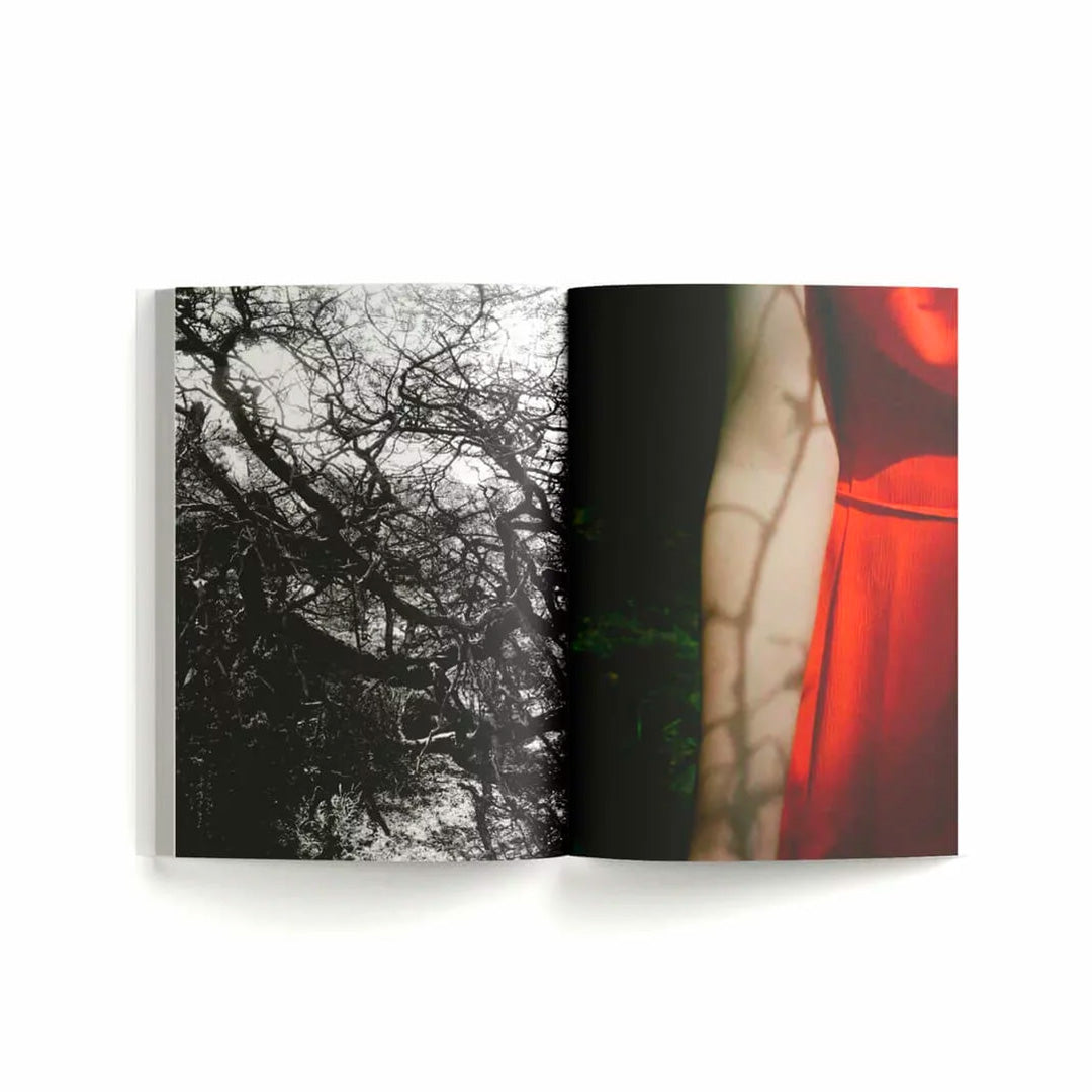 Lina Scheynius My Photo Books 15 /English