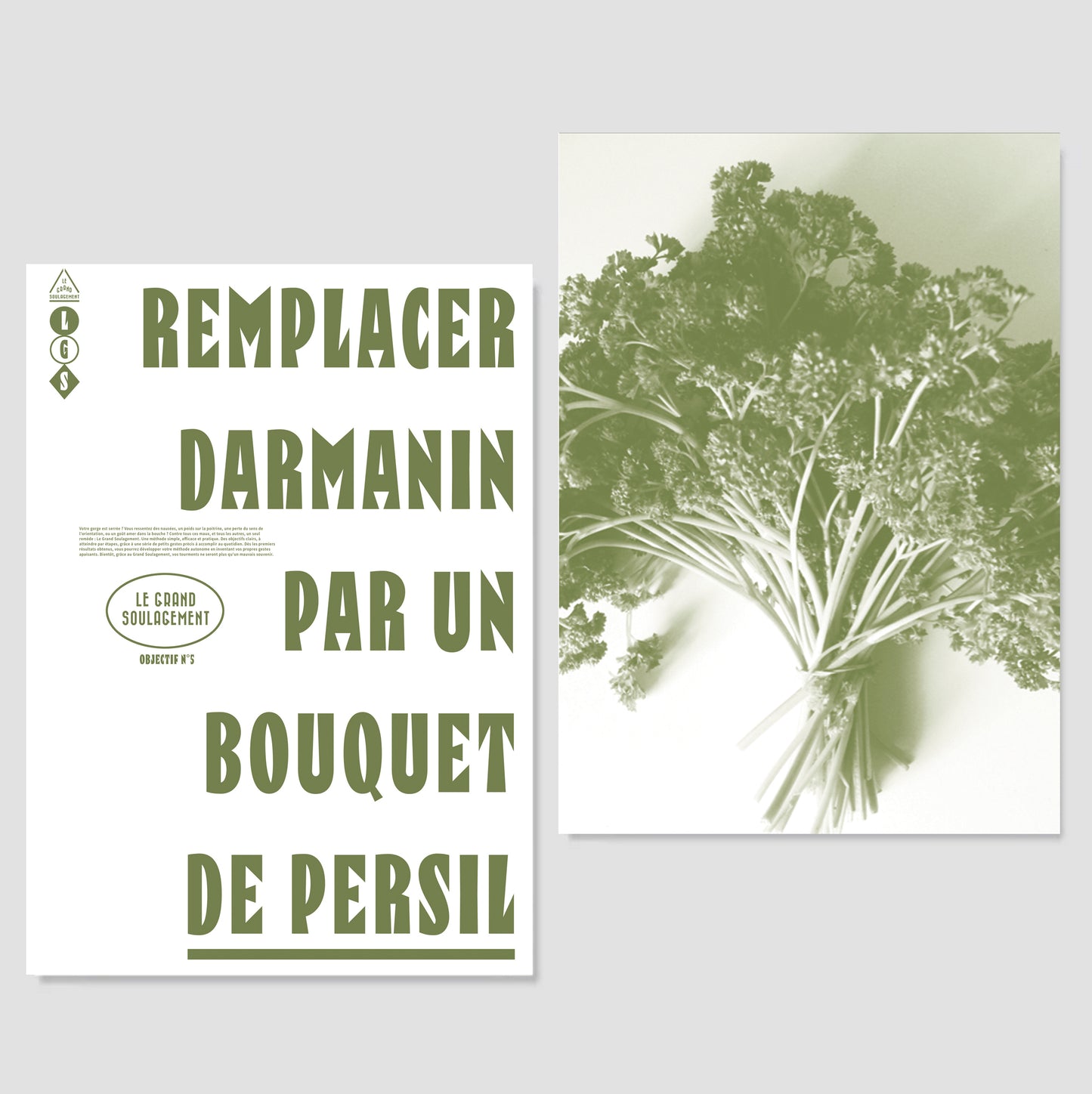 Objectif 5 : remplacer darmanin par un bouquet de persil