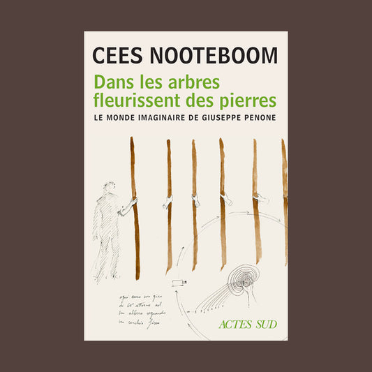 Dans les arbres fleurissent des pierres