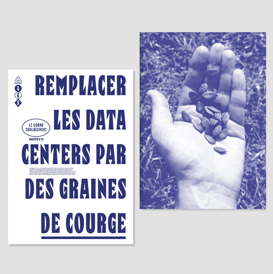 Objectif 12 : Remplacer les data centers par des graines de courge