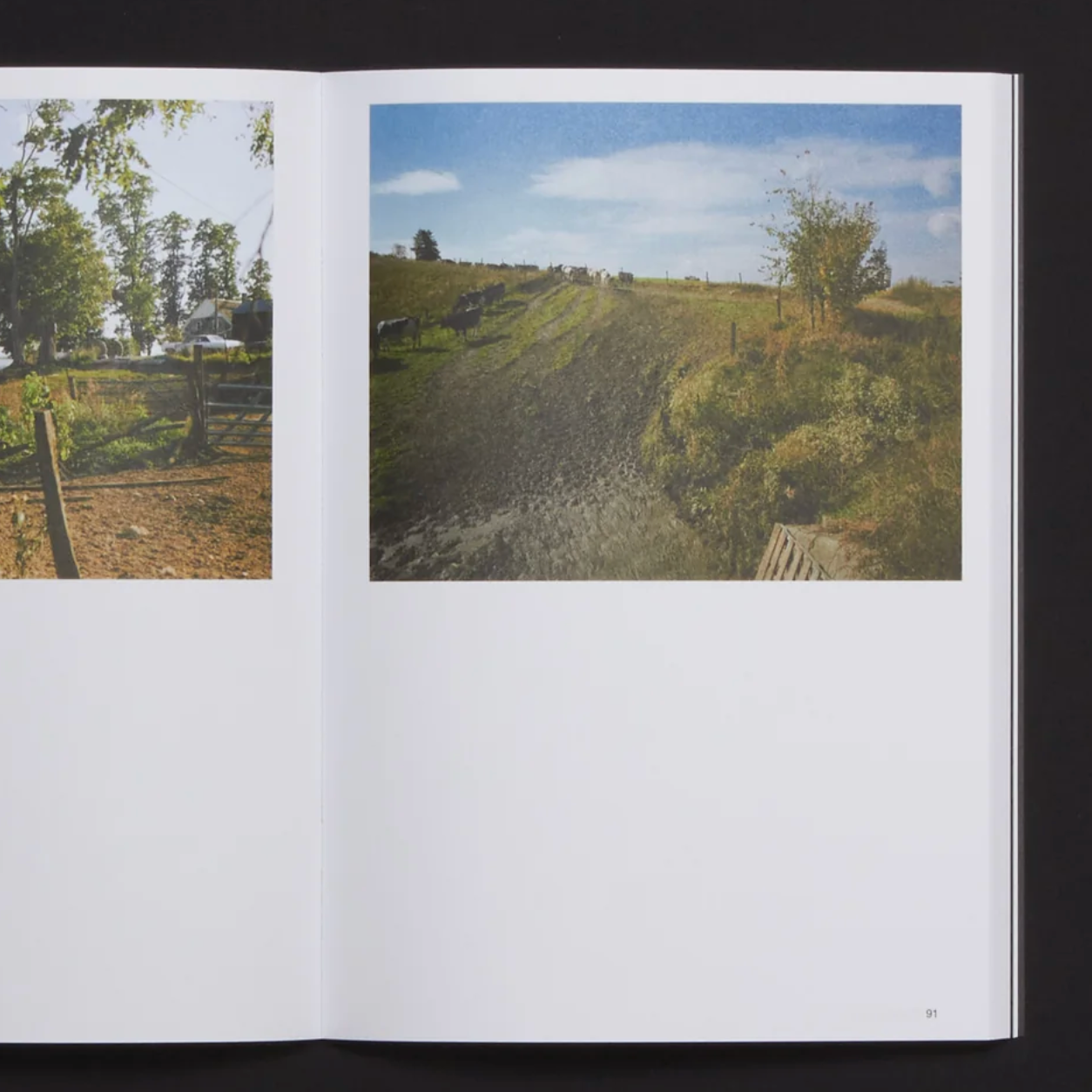 Hotshoe Issue 214: Stephen Shore