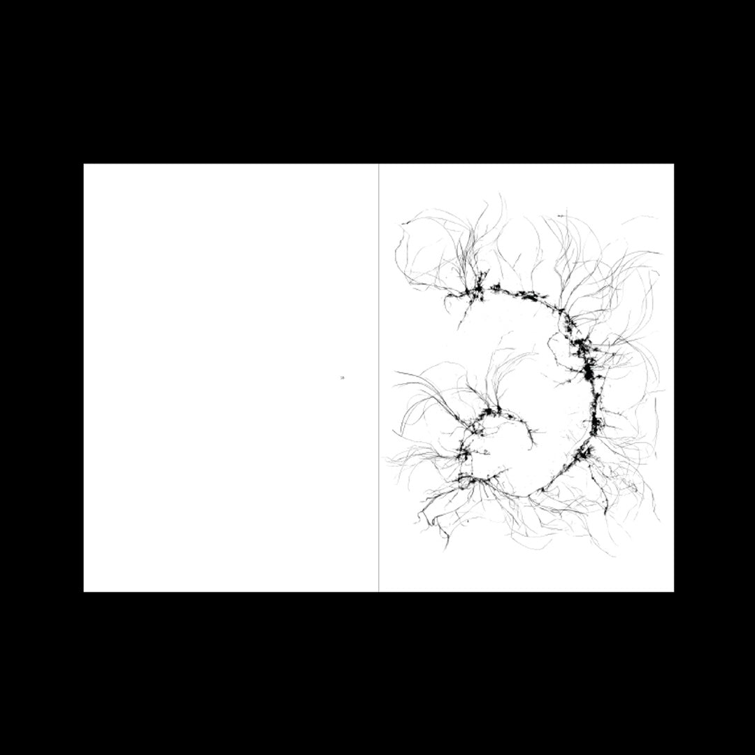 L’Herbe aux yeux bleus