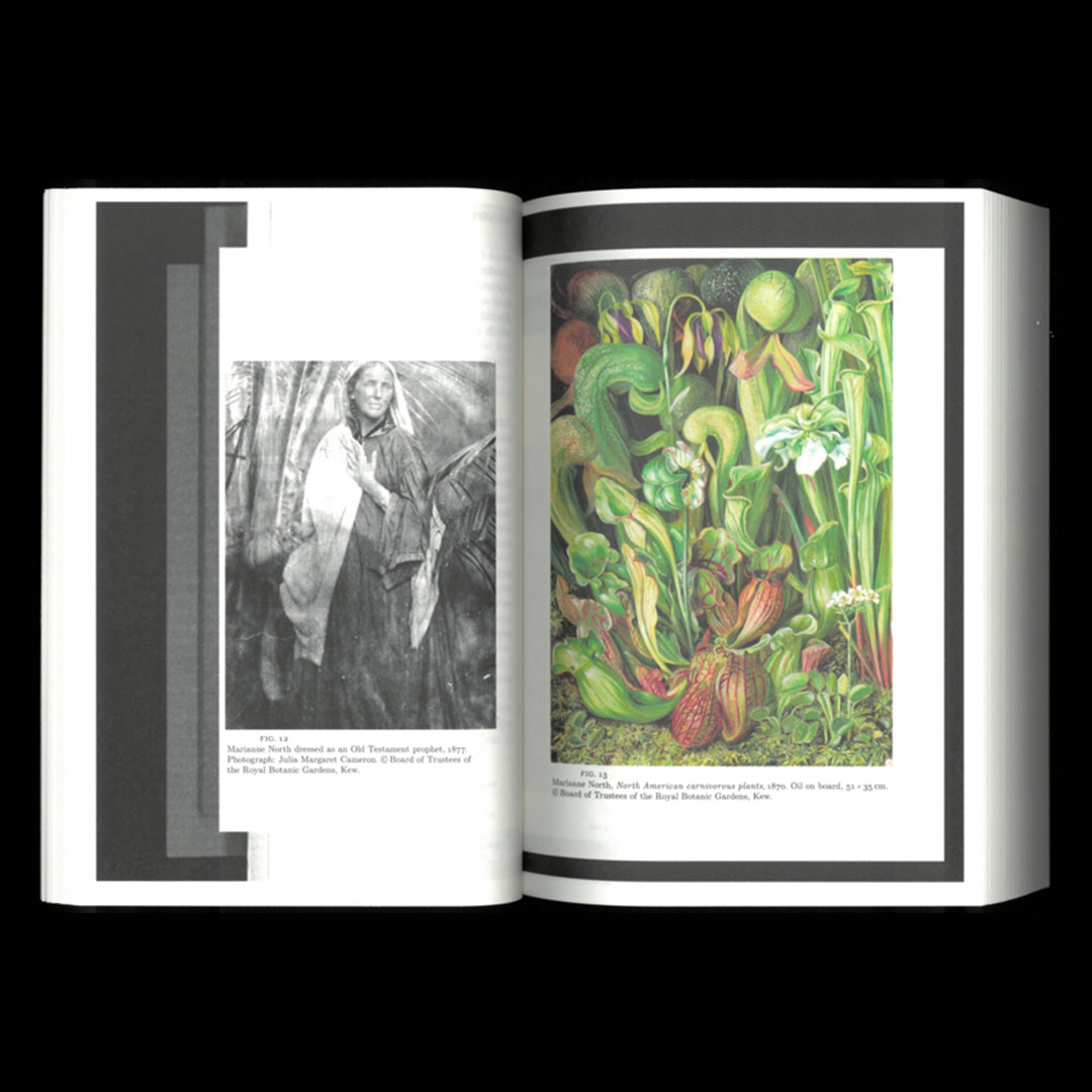 A Biography of Daphne
