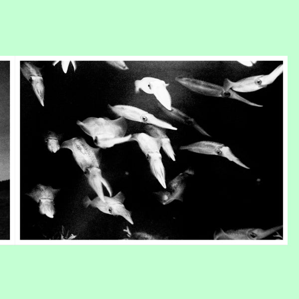 Eriko Masaoka - In the Flap of a Bird's Wing, Water Dries Up