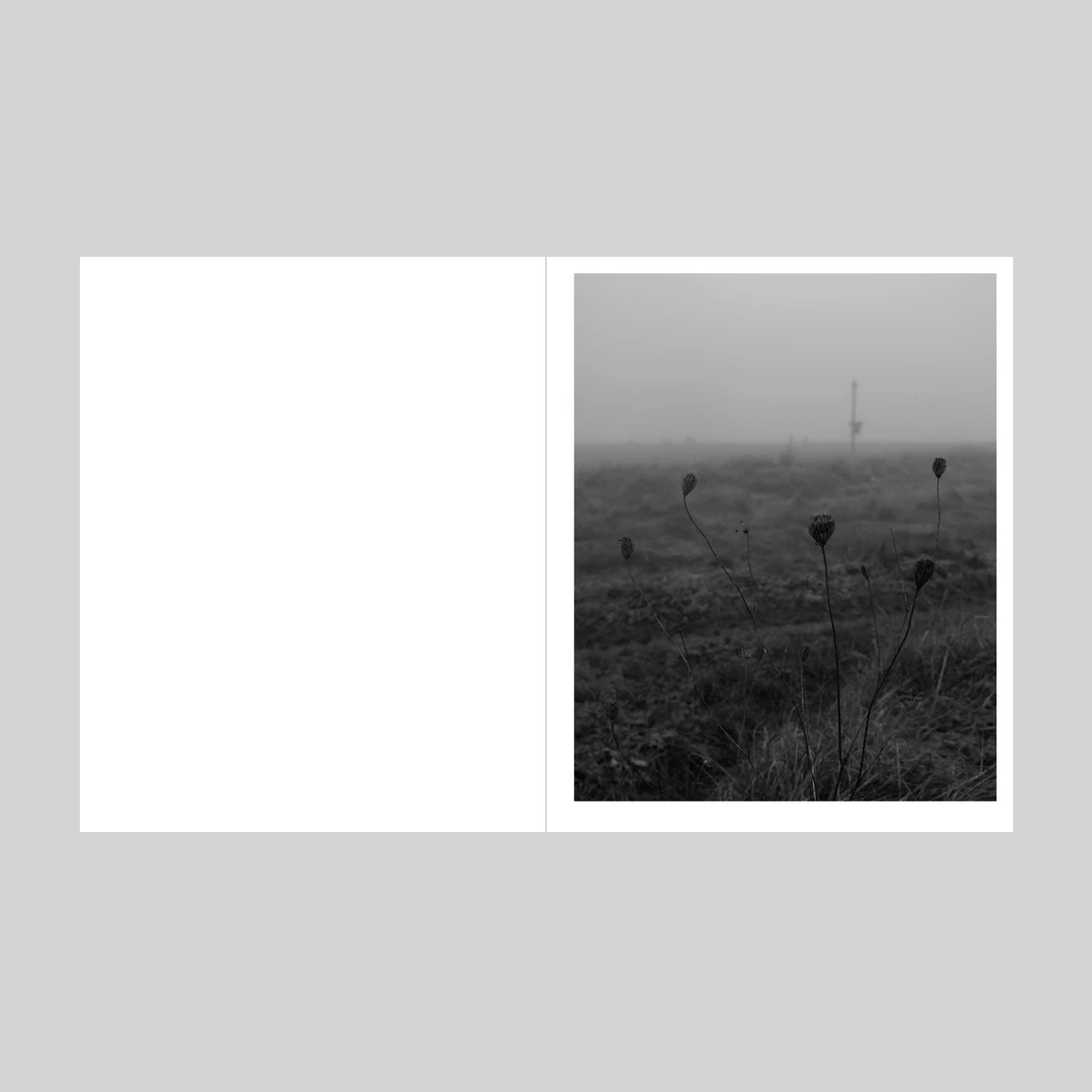 This land (copie signée)