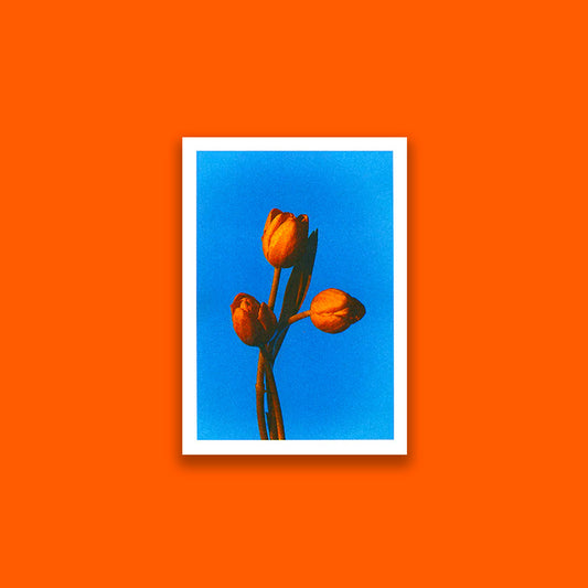 Flower E (A5)