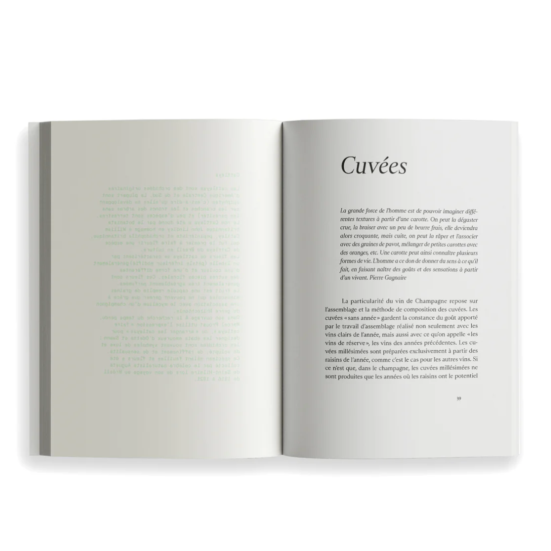 Ryoko Sekiguchi Sentir