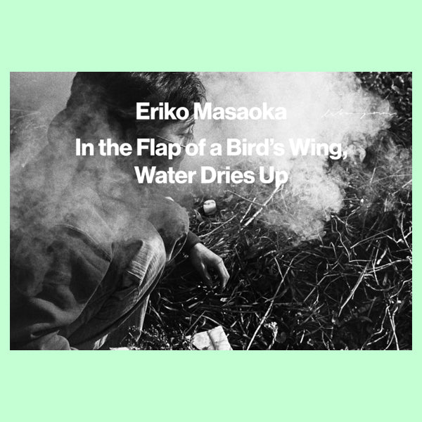 Eriko Masaoka - In the Flap of a Bird's Wing, Water Dries Up