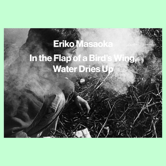 Eriko Masaoka - In the Flap of a Bird's Wing, Water Dries Up