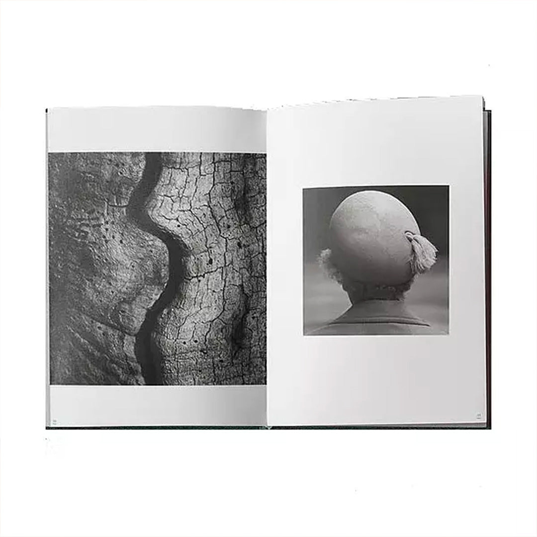Gunnar Smoliansky: A Moment Beyond