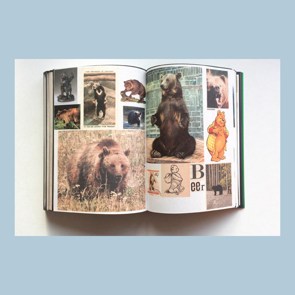 Animal books for jaap zeno anna julian luca