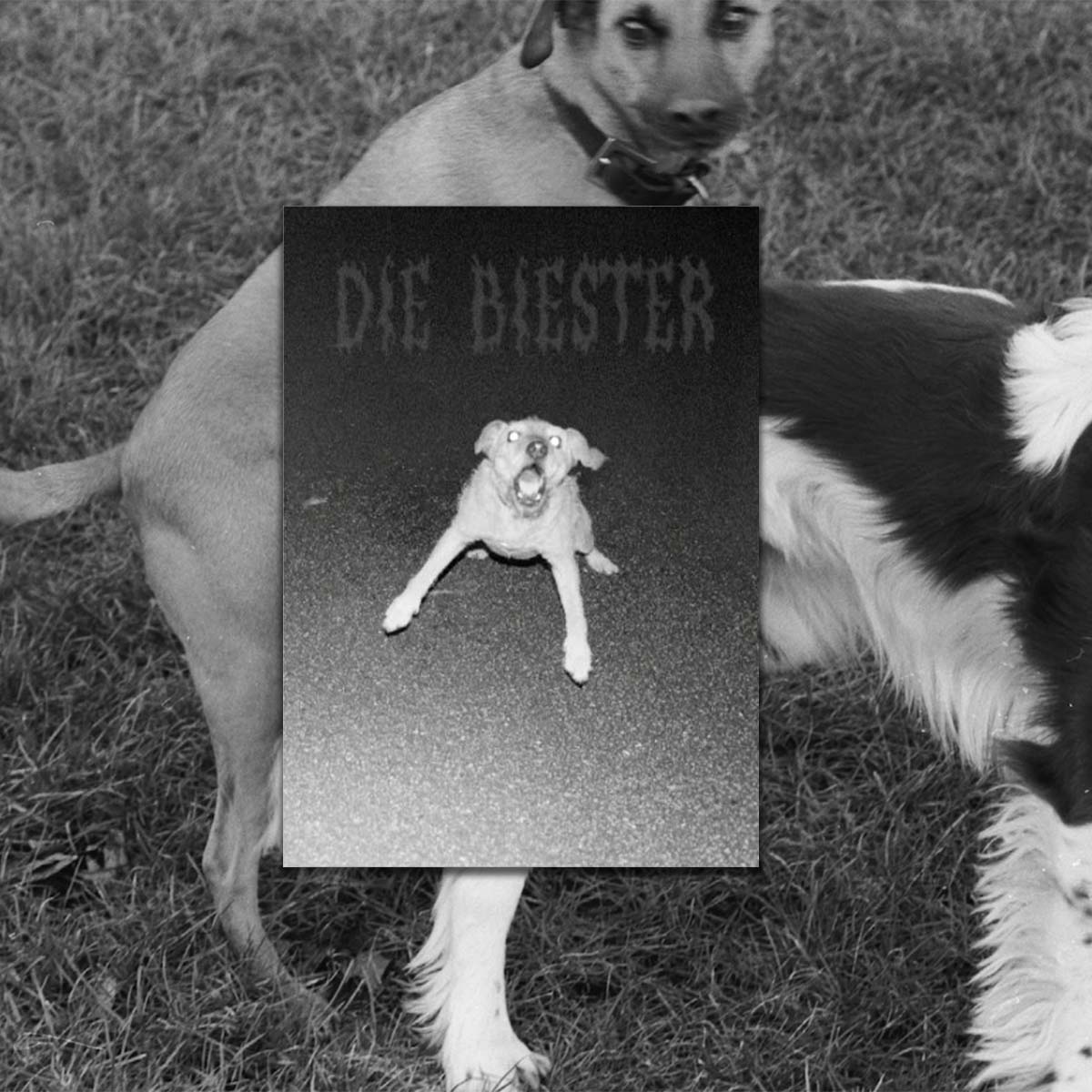 Die biester