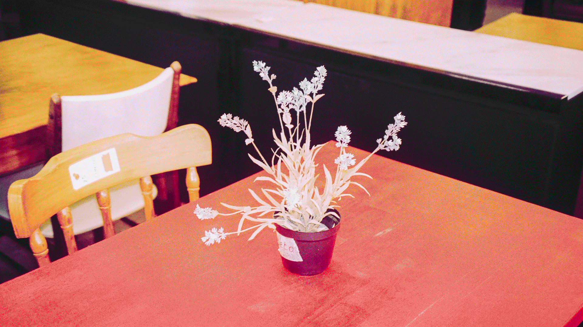 Lancement jeudi 29 janvier À l'heure où le soleil devient noir