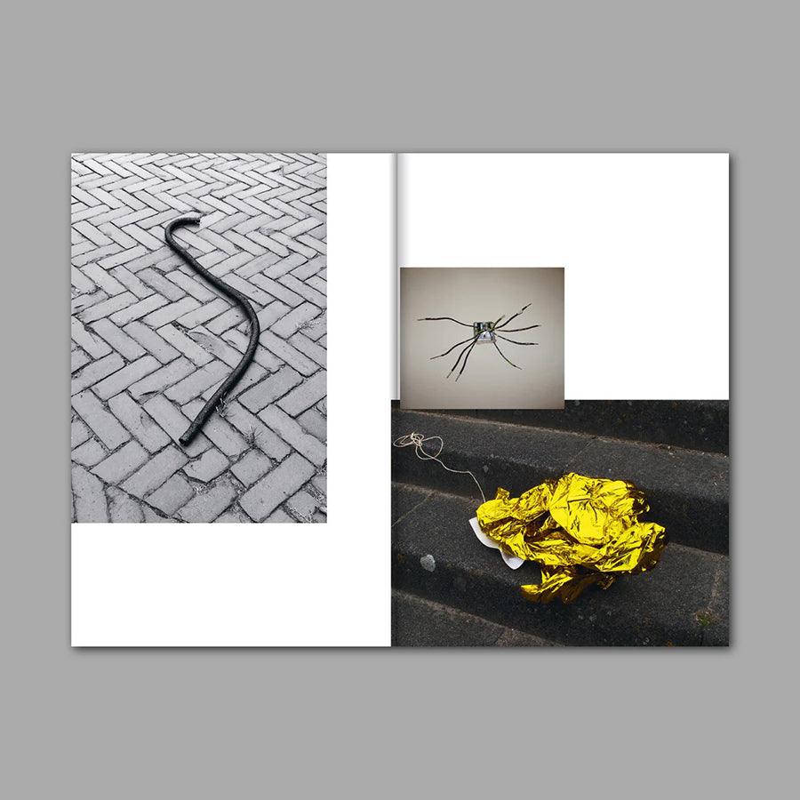 Sara Bjarland: Groundwork
