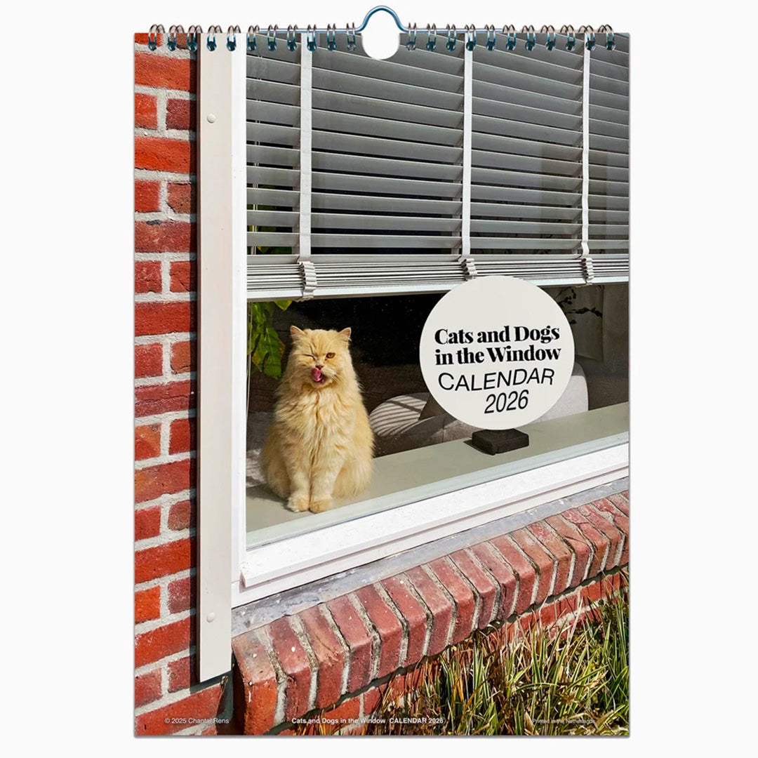 2026 Calendar - Cats and Dogs in the Windows