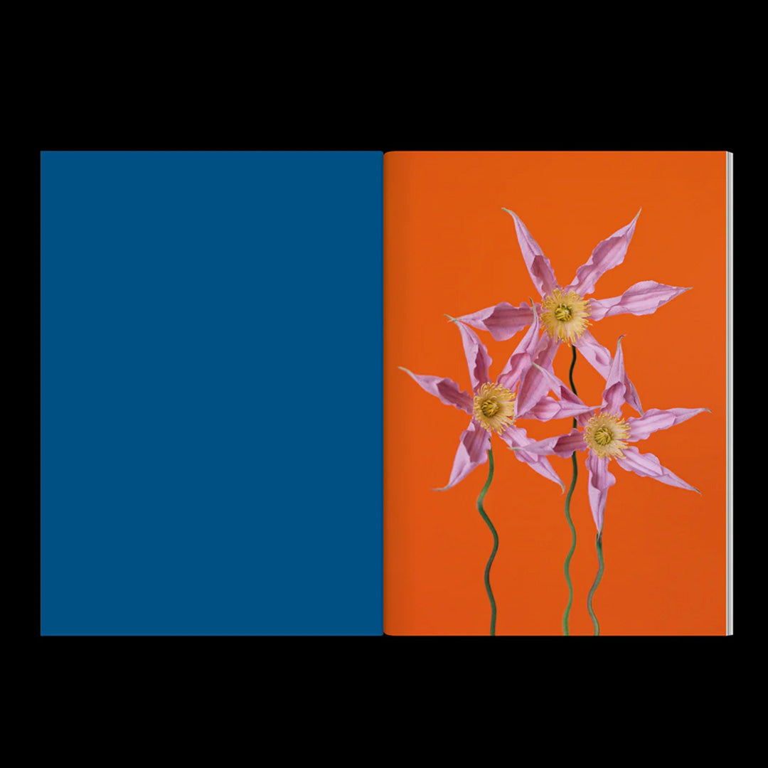 The Chromatics of Flowers