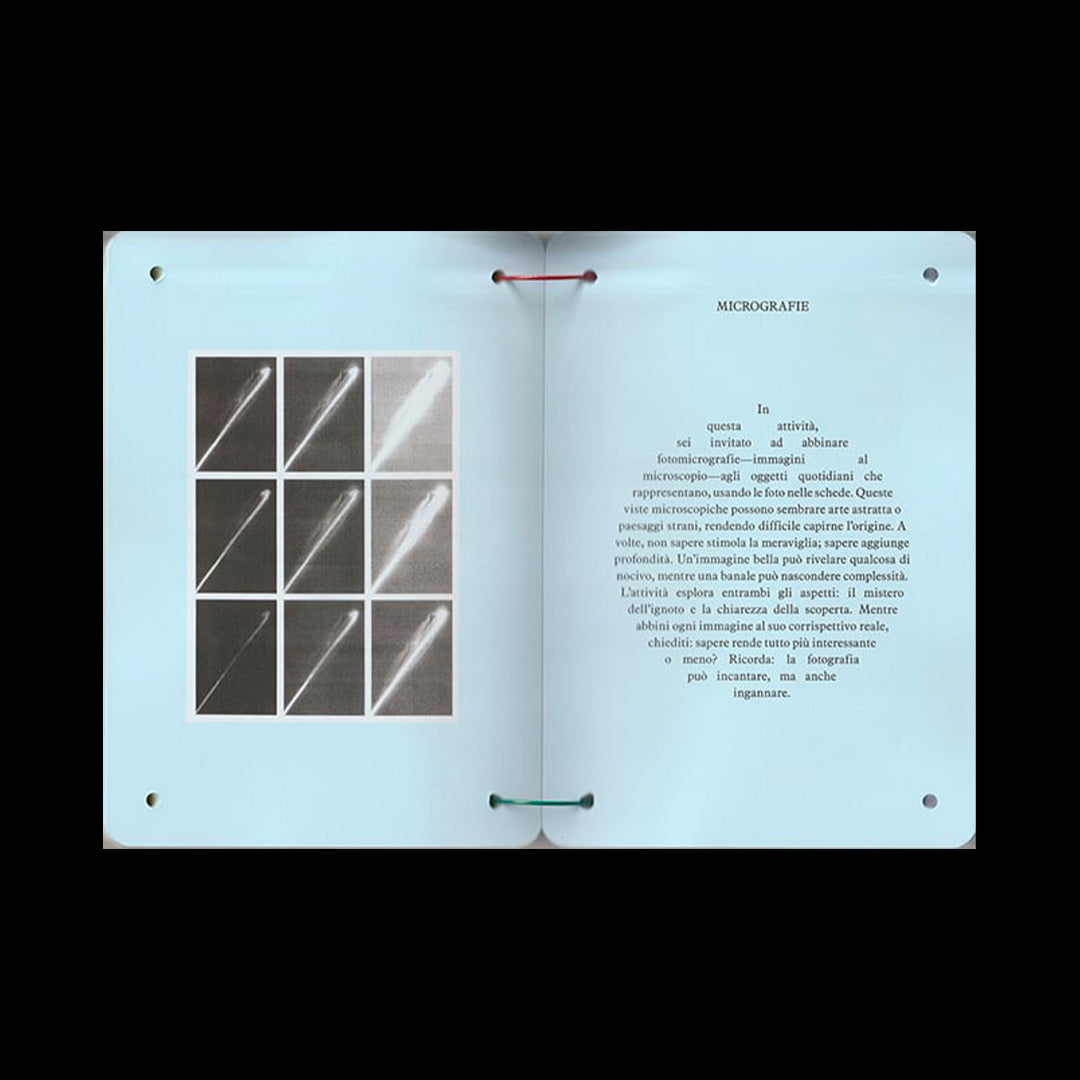 Thesaurus of Child Ecology