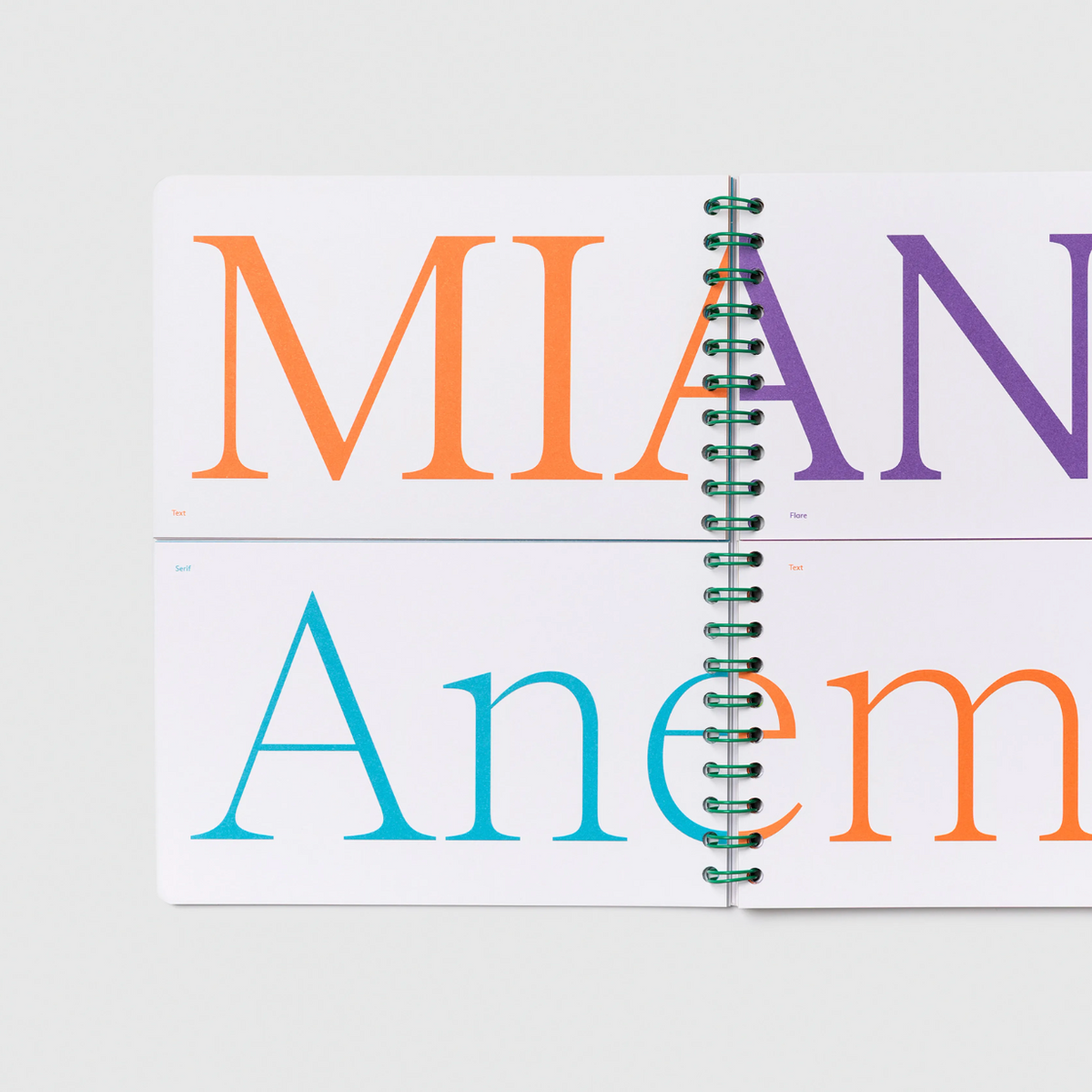 The Arizona Type Specimen 2