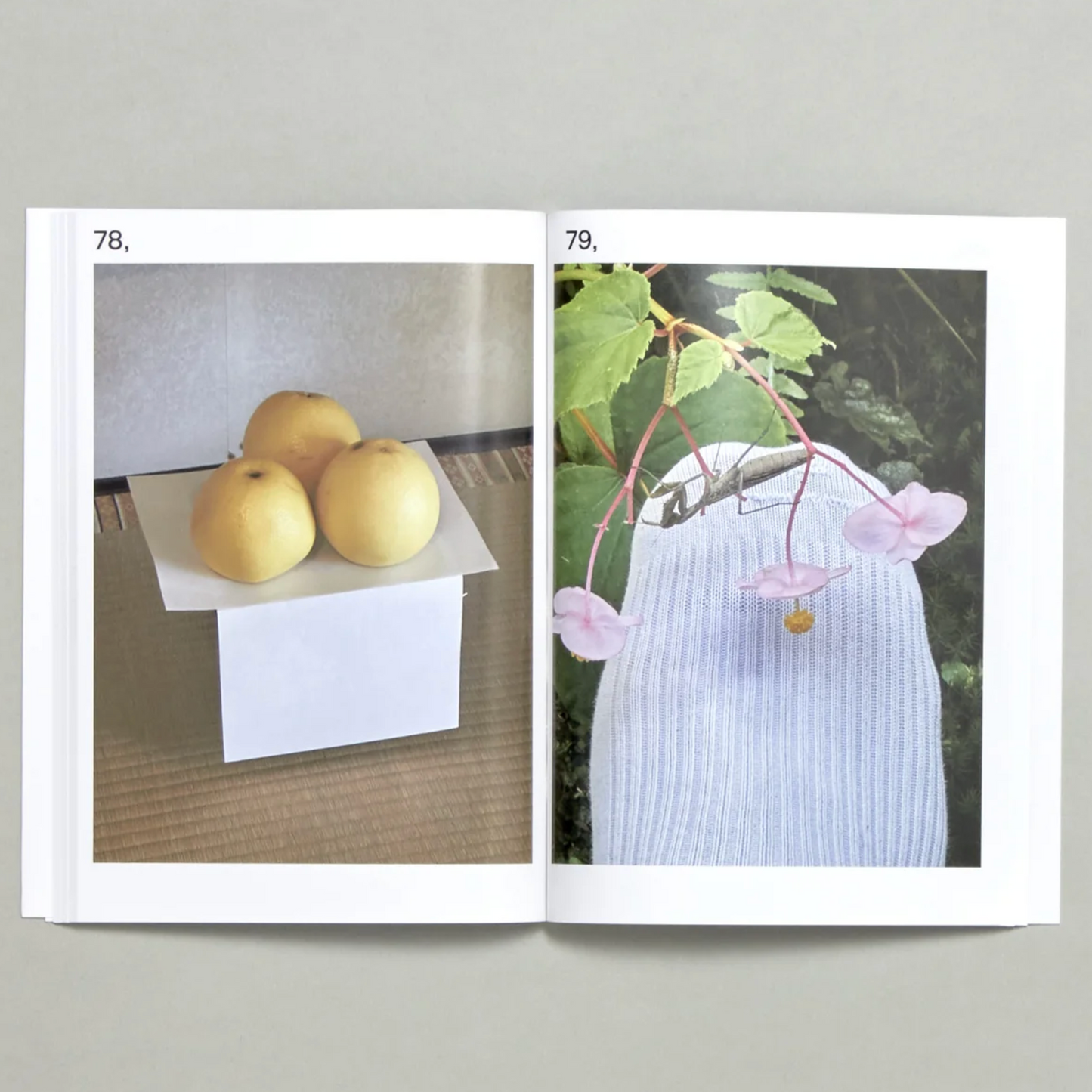 Image, Backups, Nobody Knows