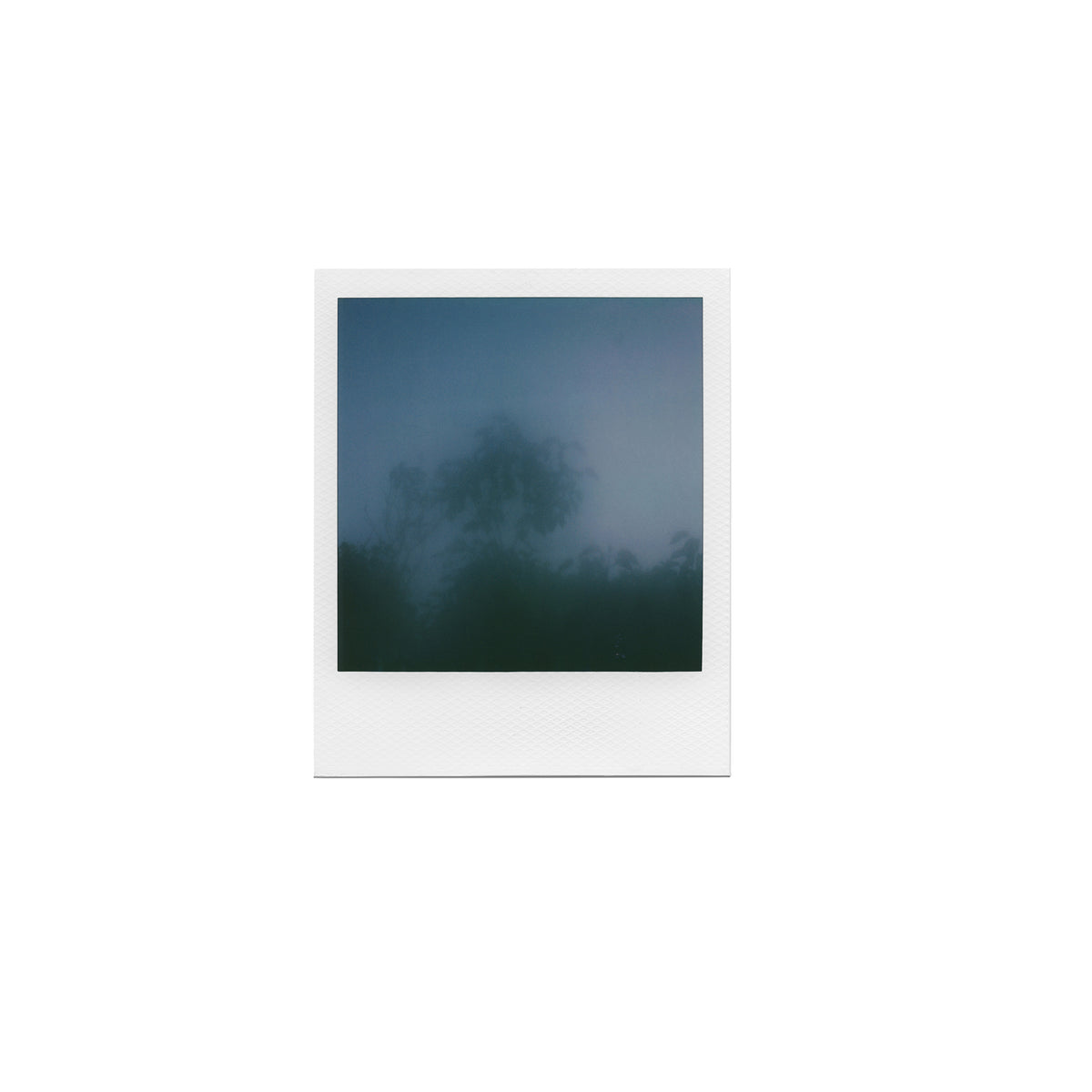 À la fin des hivers / Reviennent les printemps  