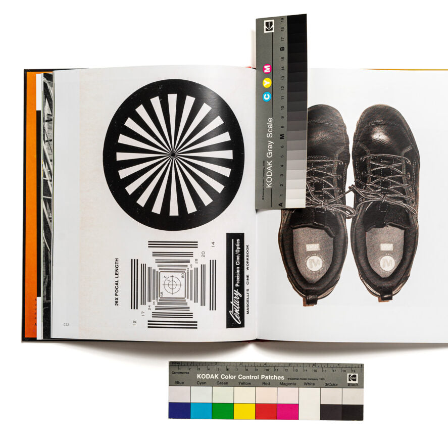 The Donkey that became a zebra