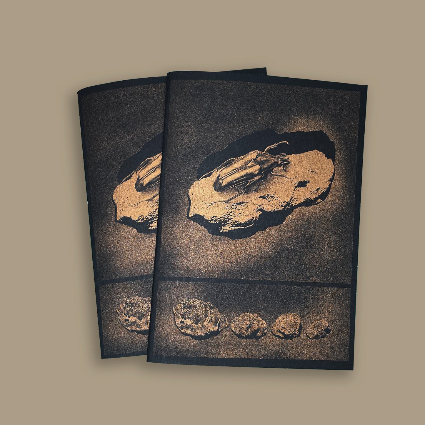 Carnet à dessin