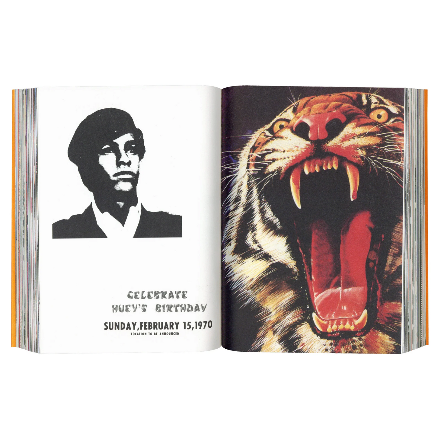 Radical Media Archive vol.1/7 book