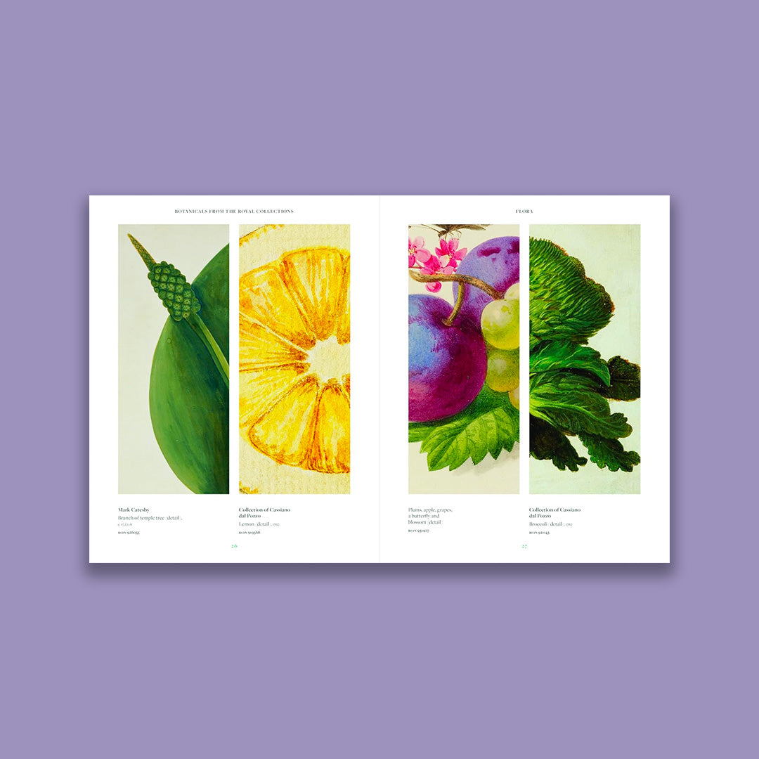 Botanicals: From the Royal Collection