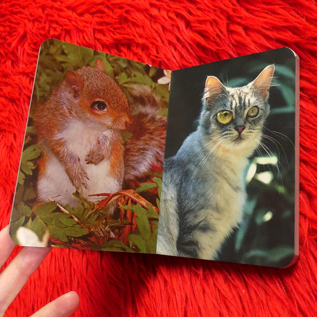 Various Animals
