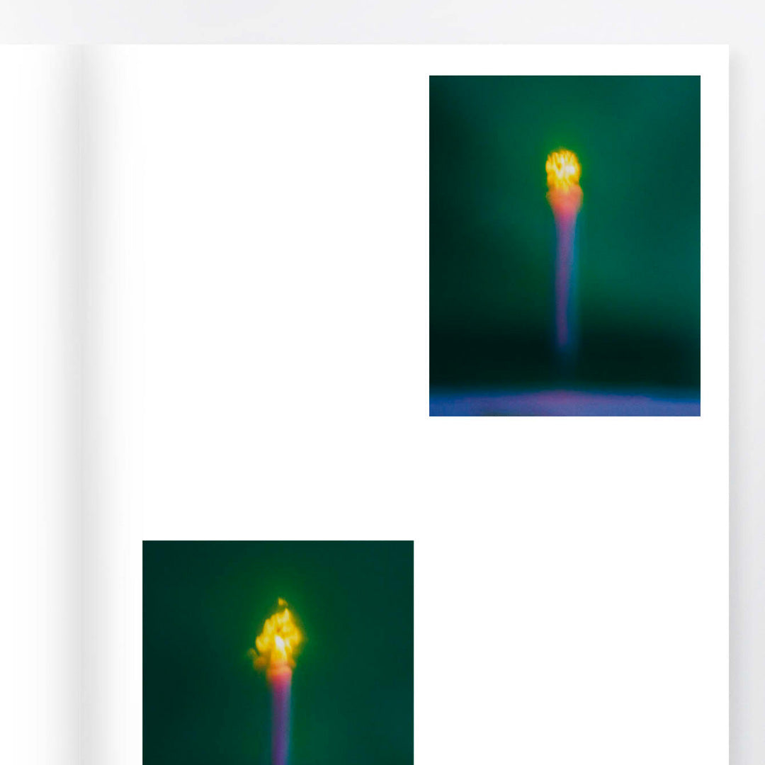 De l'amour à la mort