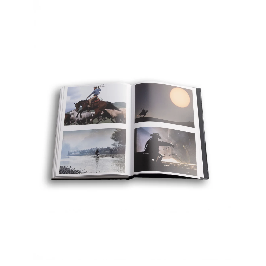 Co Rentmeester Witnessing Life