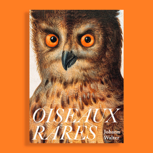 Oiseaux Rares