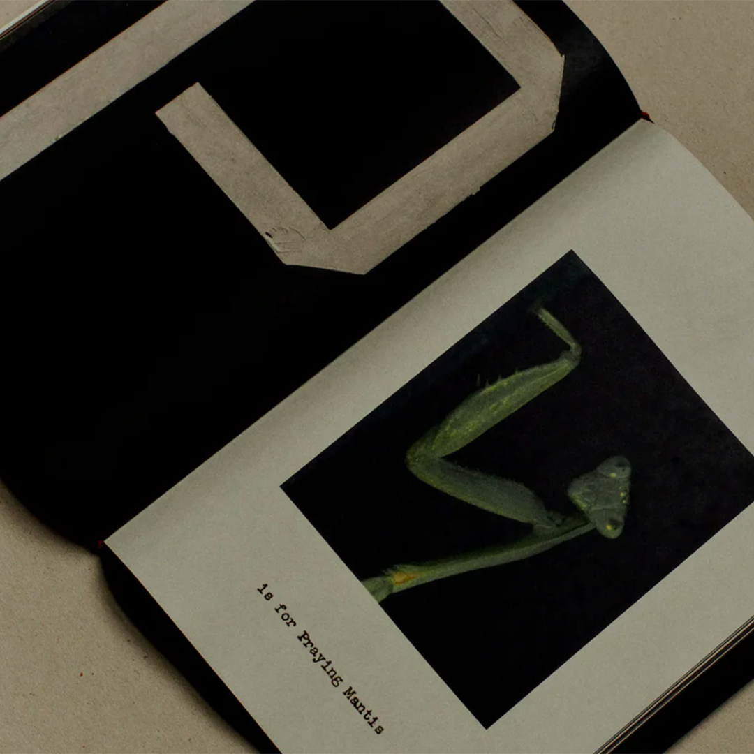 A is for Ant Newspaper