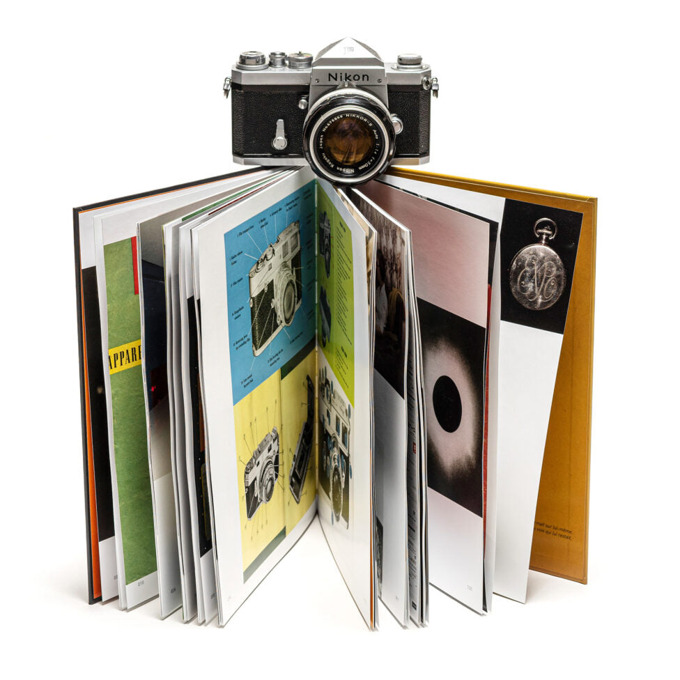 The Donkey that became a zebra