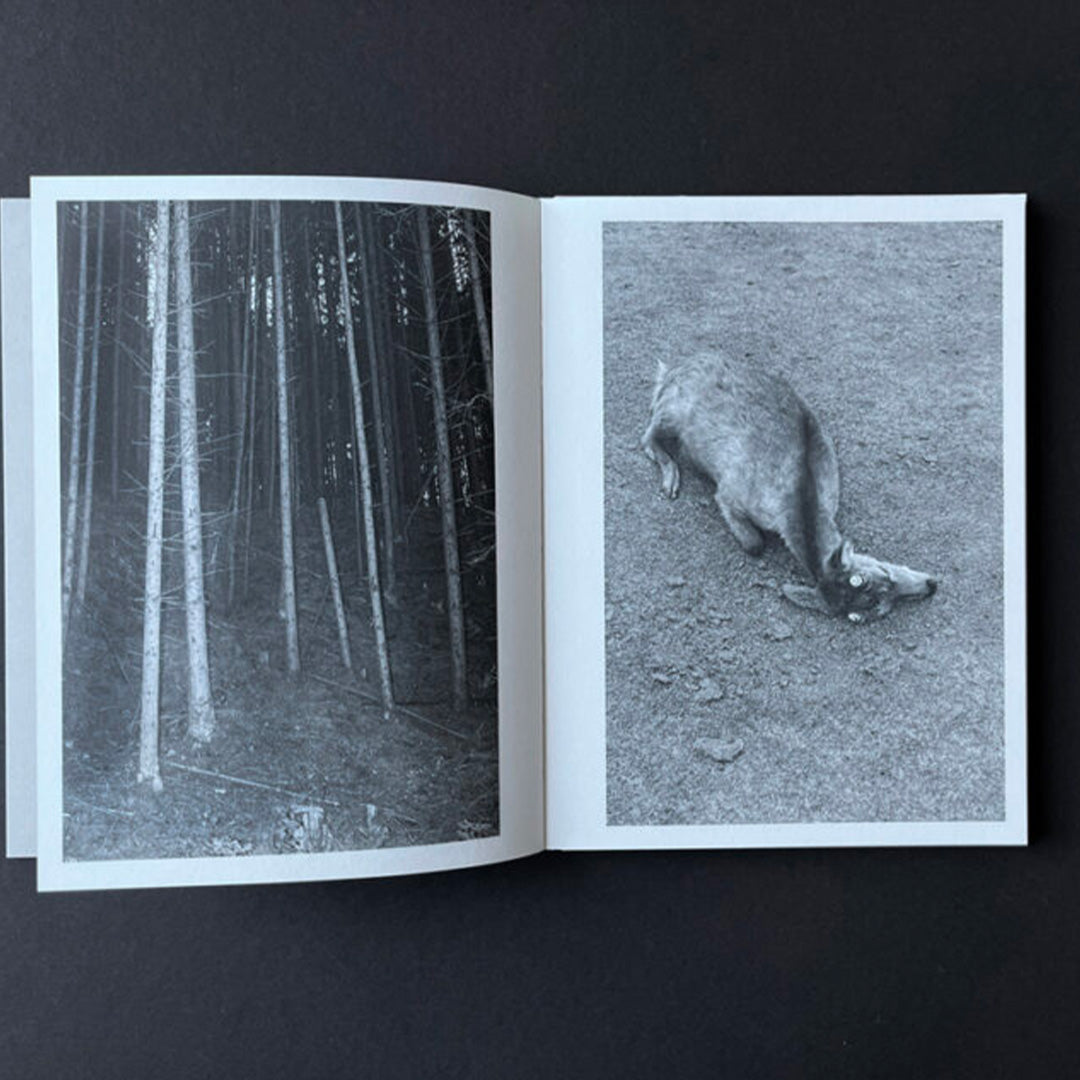 On Heaven's Doorsill