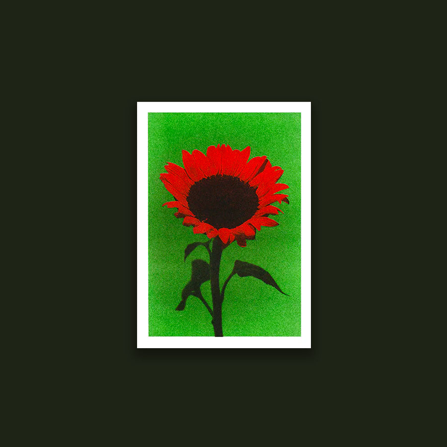 Flower B (A5)