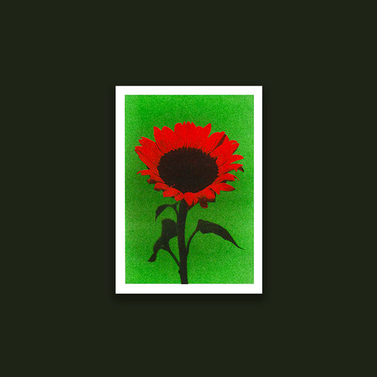 Flower B (A5)