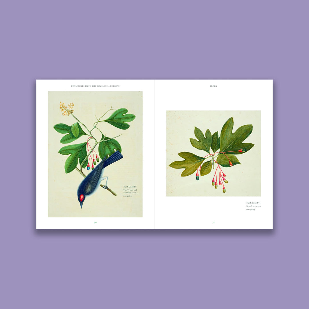 Botanicals: From the Royal Collection