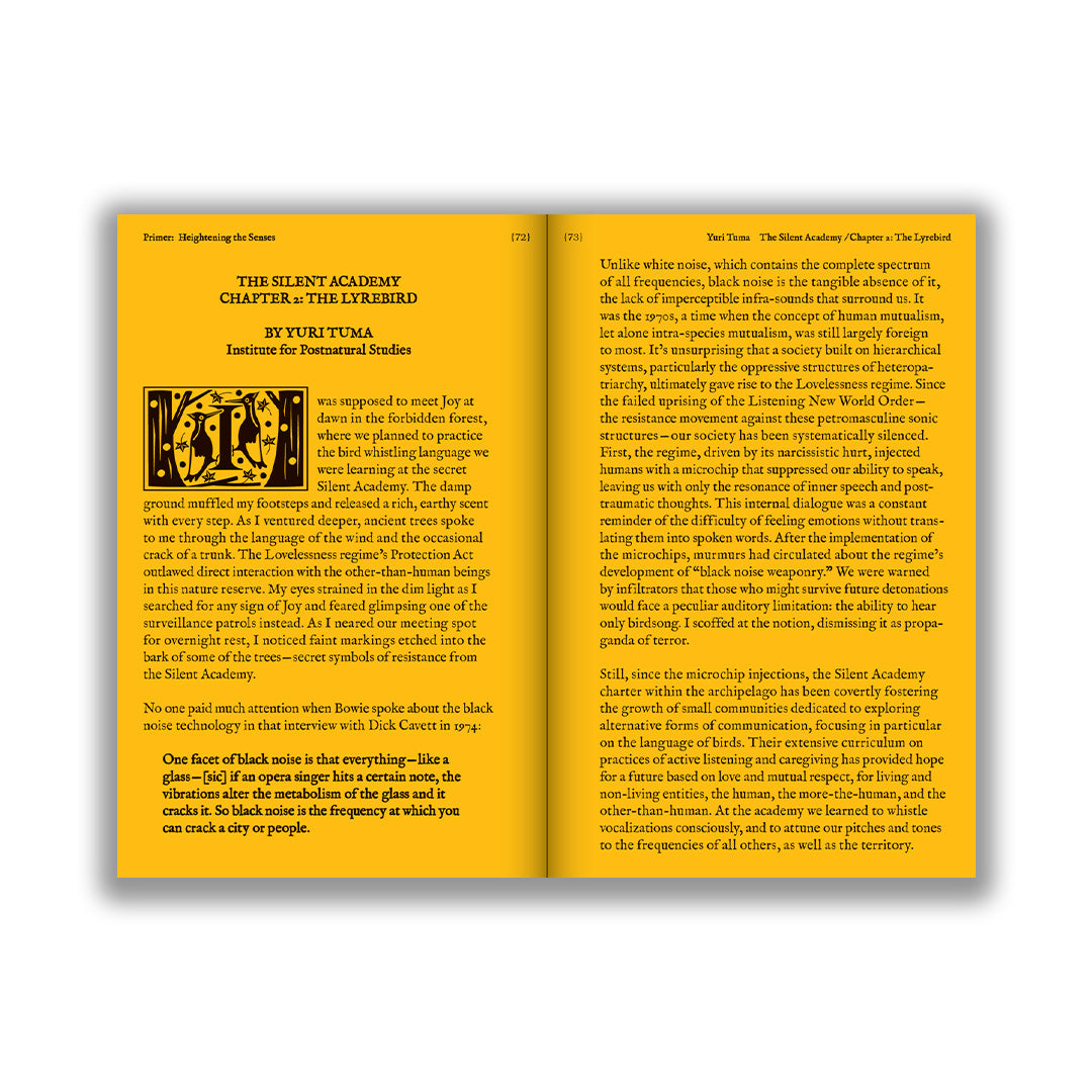 with a Bird, A Reader on Avian Kinship