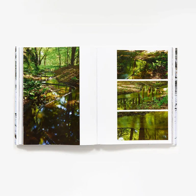Andy Goldsworthy: Projects