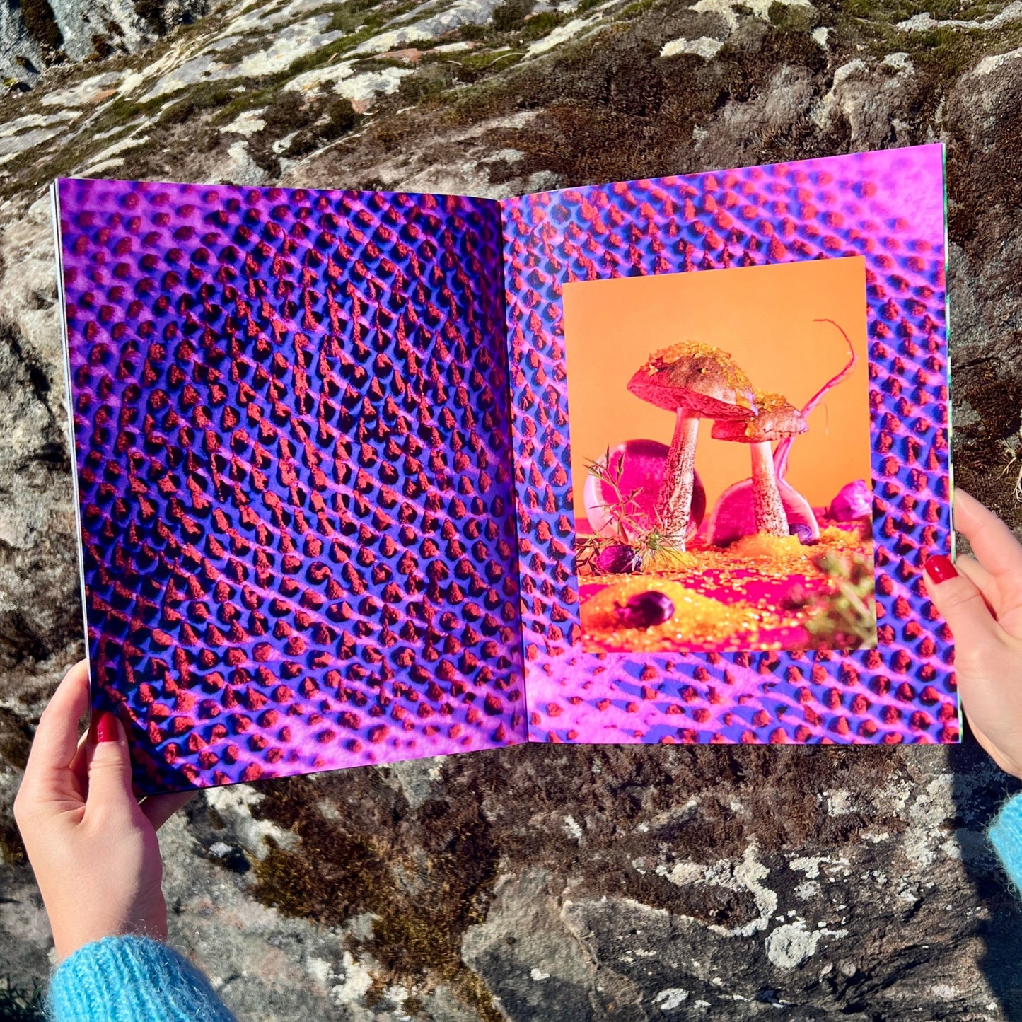 Mushrooms and Friends 3 (2nd Printing)