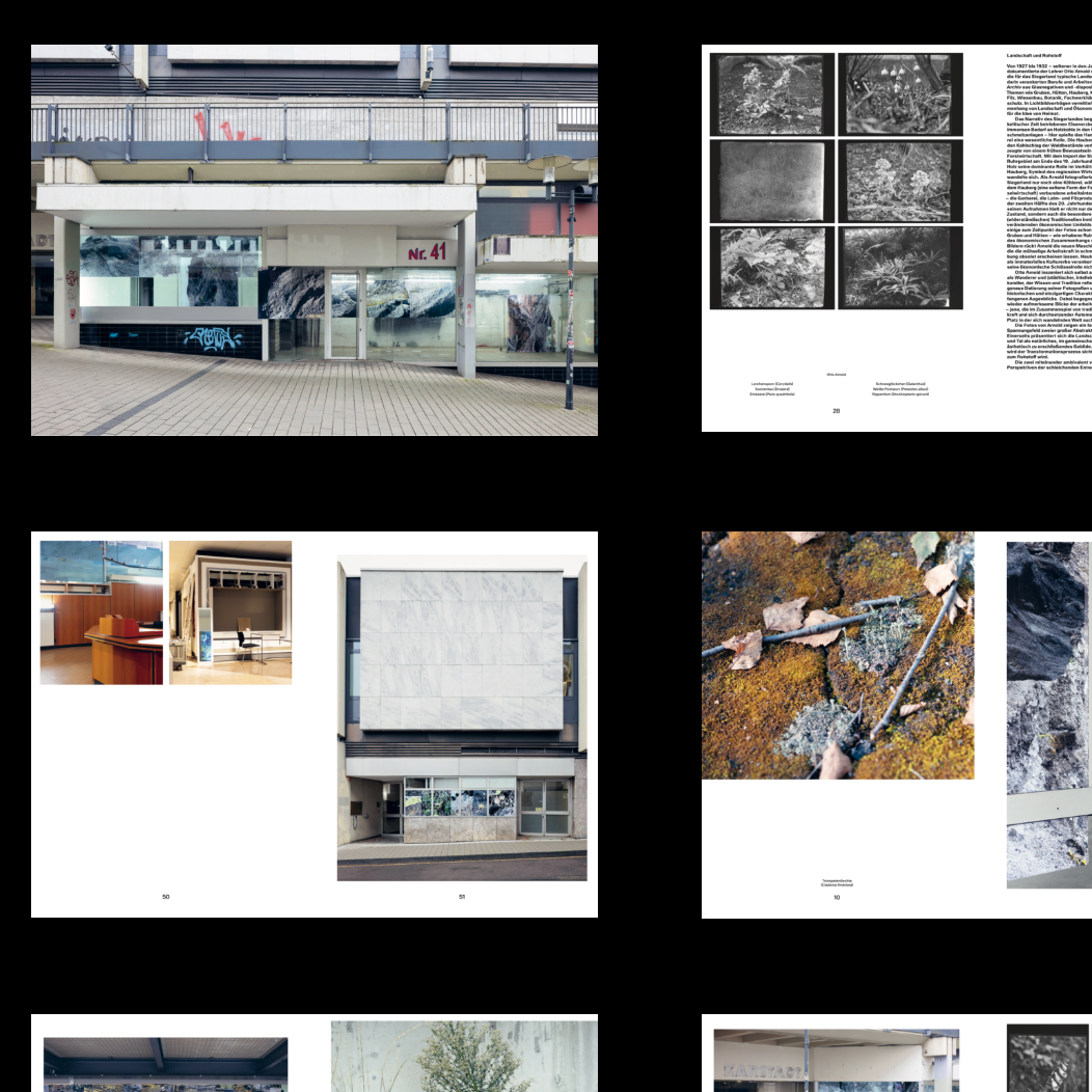 Hey Monte Schlacko, Dear Schlagorg