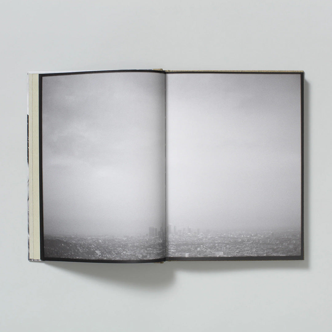 Swan Moon's Swan Moon