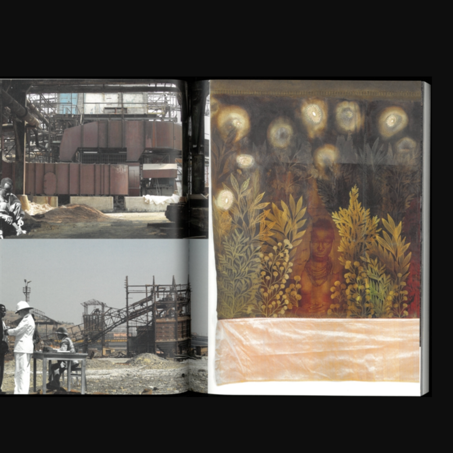 A Kind of Paradise : Artistic Counter-Narratives to Colonial-Era Photography