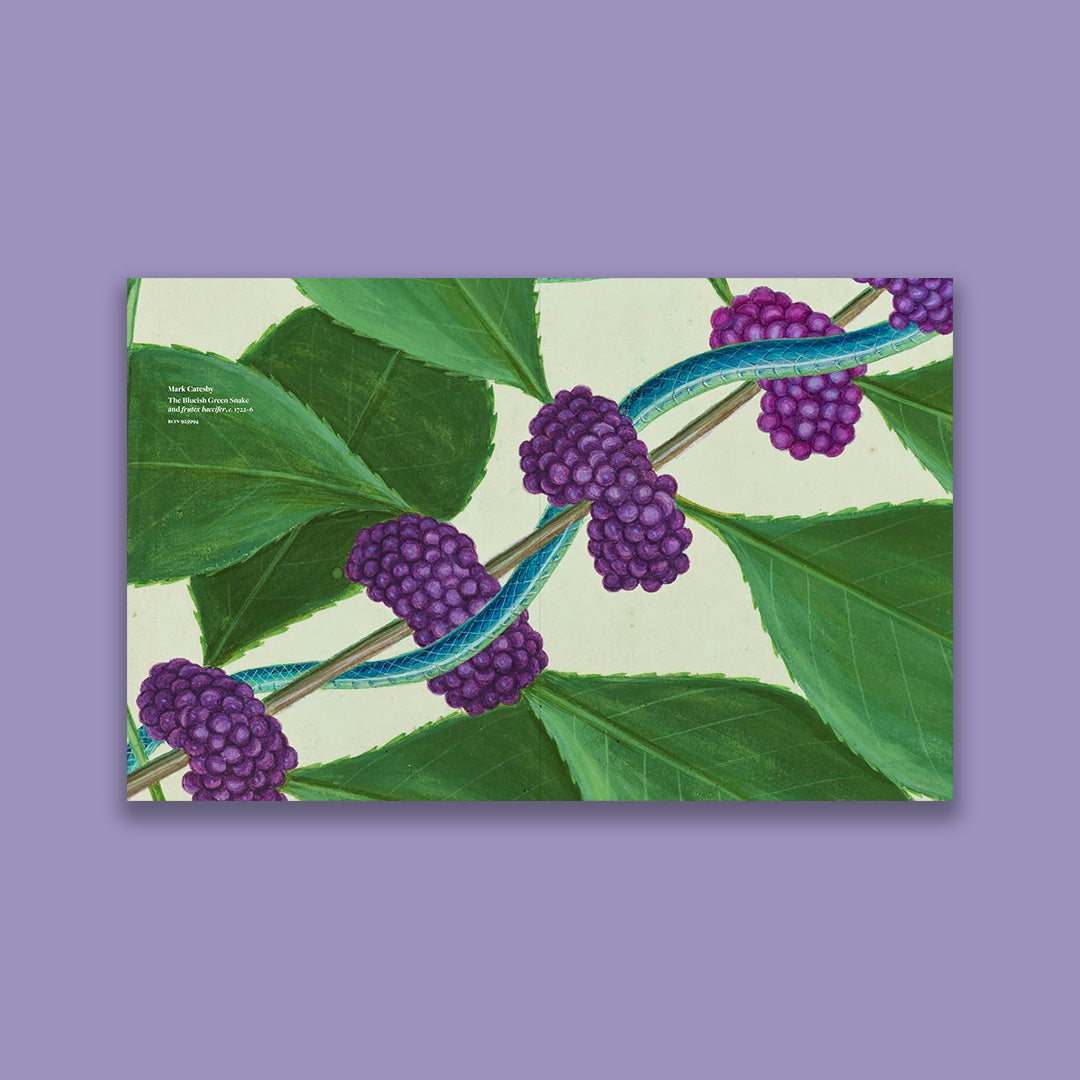Botanicals: From the Royal Collection