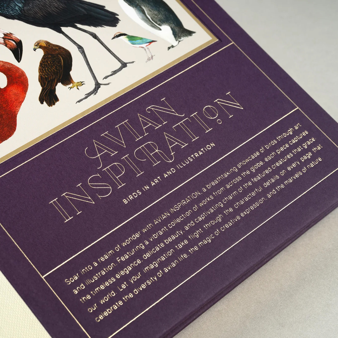 Avian Inspiration Art and Design Inspired by Birds /anglais