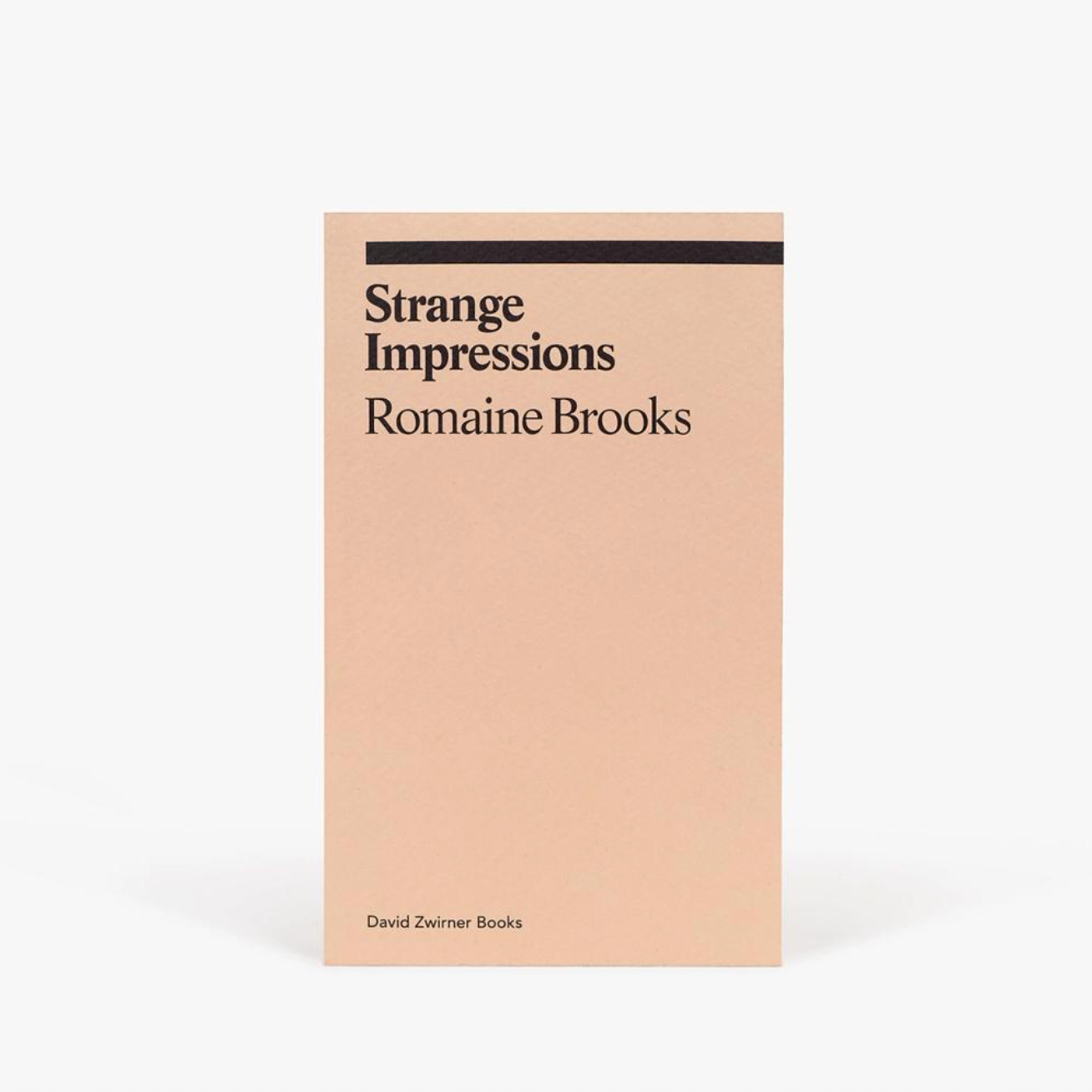 Romaine Brooks Strange Impressions