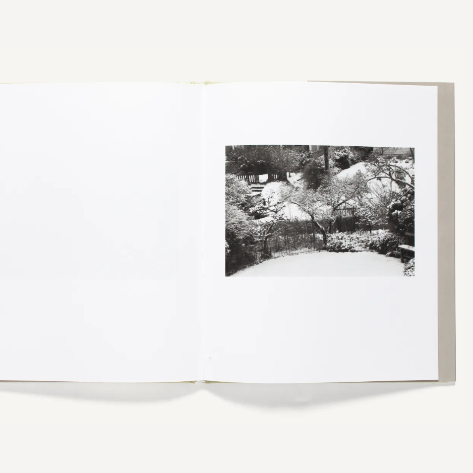 Robert Adams Standing Still