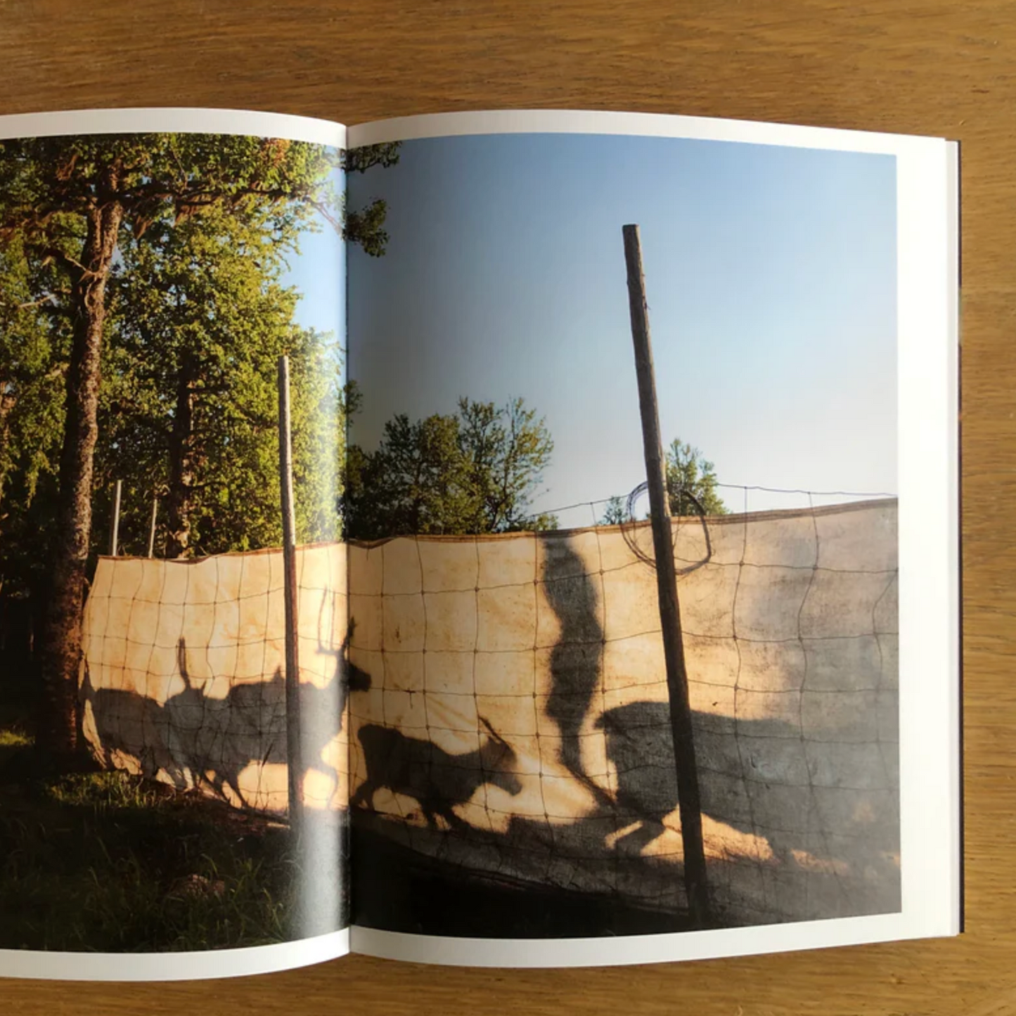 Anthology: Norwegian Journal of Photography #7