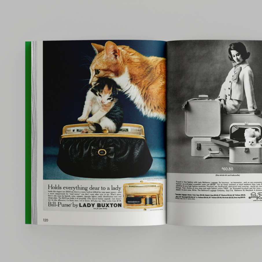 More than cat food